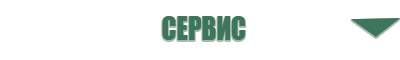ДиаДэнс Вертебра